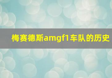 梅赛德斯amgf1车队的历史