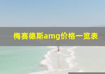 梅赛德斯amg价格一览表