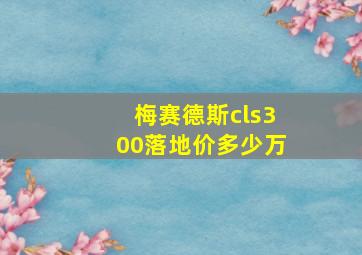 梅赛德斯cls300落地价多少万