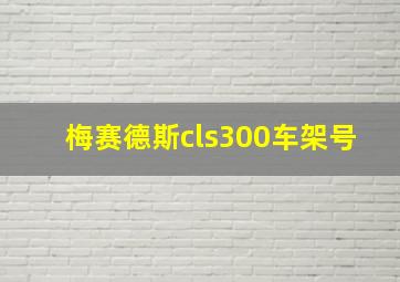 梅赛德斯cls300车架号