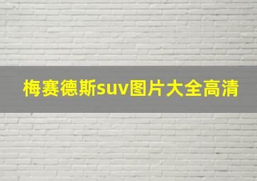 梅赛德斯suv图片大全高清