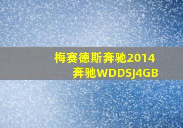 梅赛德斯奔驰2014奔驰WDDSJ4GB