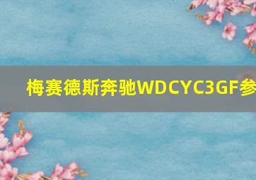 梅赛德斯奔驰WDCYC3GF参数