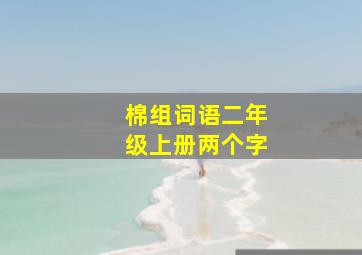 棉组词语二年级上册两个字