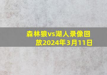 森林狼vs湖人录像回放2024年3月11日