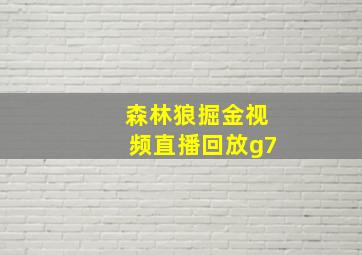 森林狼掘金视频直播回放g7