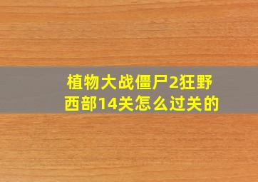 植物大战僵尸2狂野西部14关怎么过关的