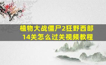 植物大战僵尸2狂野西部14关怎么过关视频教程