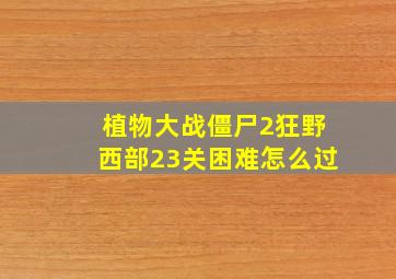 植物大战僵尸2狂野西部23关困难怎么过