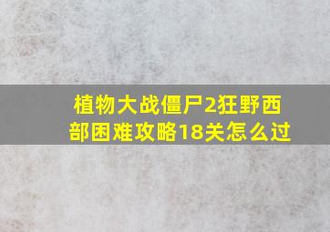 植物大战僵尸2狂野西部困难攻略18关怎么过