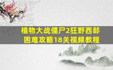 植物大战僵尸2狂野西部困难攻略18关视频教程