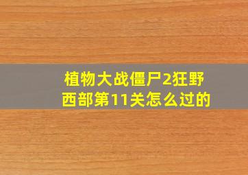 植物大战僵尸2狂野西部第11关怎么过的