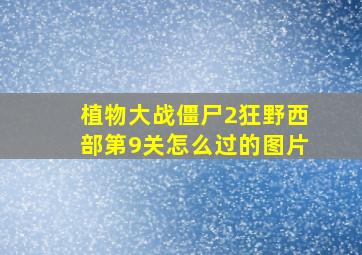 植物大战僵尸2狂野西部第9关怎么过的图片