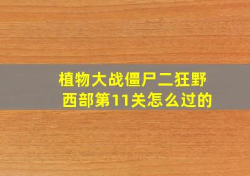 植物大战僵尸二狂野西部第11关怎么过的