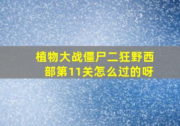 植物大战僵尸二狂野西部第11关怎么过的呀