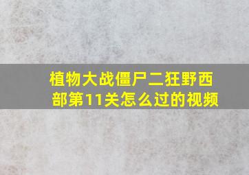 植物大战僵尸二狂野西部第11关怎么过的视频