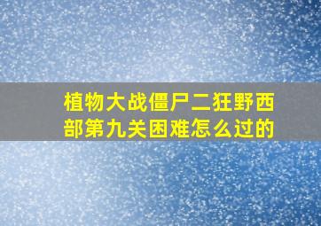 植物大战僵尸二狂野西部第九关困难怎么过的