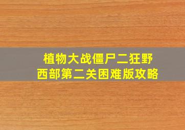 植物大战僵尸二狂野西部第二关困难版攻略