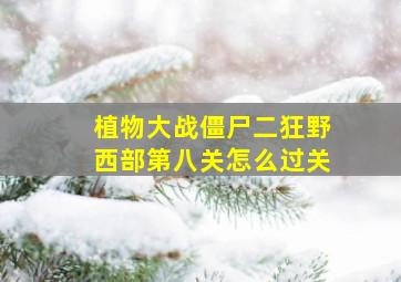 植物大战僵尸二狂野西部第八关怎么过关