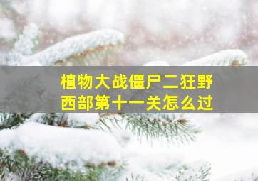 植物大战僵尸二狂野西部第十一关怎么过