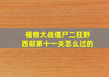 植物大战僵尸二狂野西部第十一关怎么过的