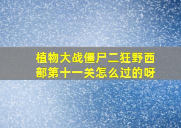 植物大战僵尸二狂野西部第十一关怎么过的呀