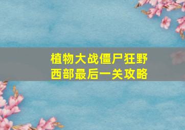 植物大战僵尸狂野西部最后一关攻略