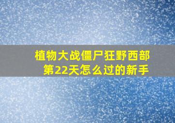 植物大战僵尸狂野西部第22天怎么过的新手