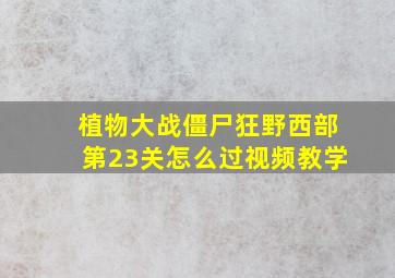 植物大战僵尸狂野西部第23关怎么过视频教学