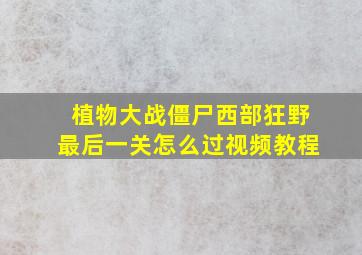 植物大战僵尸西部狂野最后一关怎么过视频教程