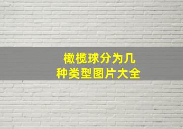 橄榄球分为几种类型图片大全