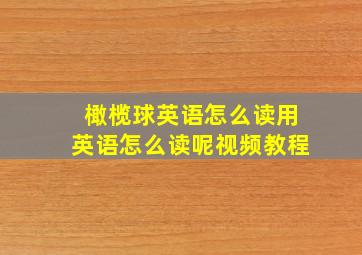 橄榄球英语怎么读用英语怎么读呢视频教程