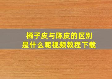 橘子皮与陈皮的区别是什么呢视频教程下载