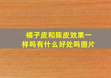 橘子皮和陈皮效果一样吗有什么好处吗图片