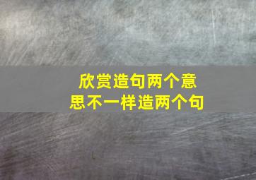 欣赏造句两个意思不一样造两个句