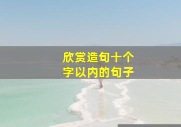 欣赏造句十个字以内的句子