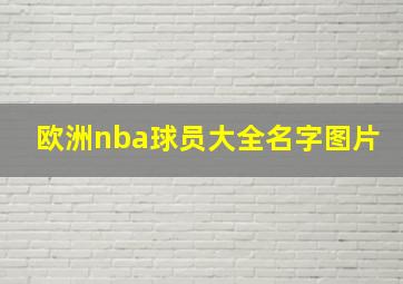 欧洲nba球员大全名字图片