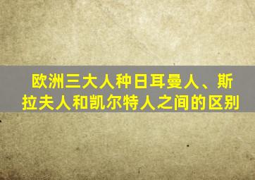 欧洲三大人种日耳曼人、斯拉夫人和凯尔特人之间的区别