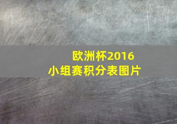 欧洲杯2016小组赛积分表图片