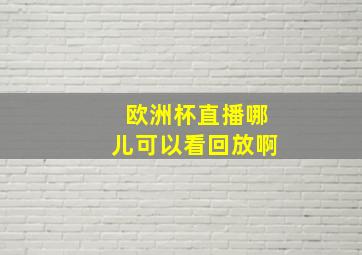 欧洲杯直播哪儿可以看回放啊