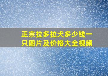 正宗拉多拉犬多少钱一只图片及价格大全视频