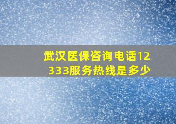 武汉医保咨询电话12333服务热线是多少