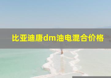 比亚迪唐dm油电混合价格