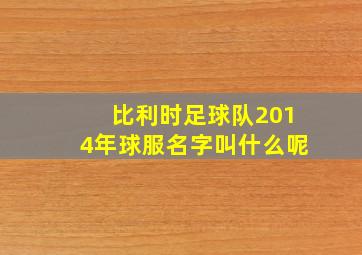 比利时足球队2014年球服名字叫什么呢