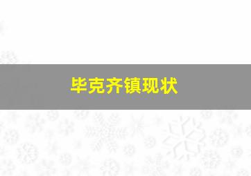 毕克齐镇现状