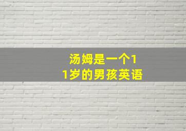 汤姆是一个11岁的男孩英语