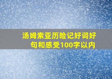 汤姆索亚历险记好词好句和感受100字以内