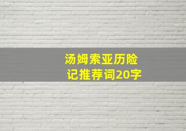 汤姆索亚历险记推荐词20字