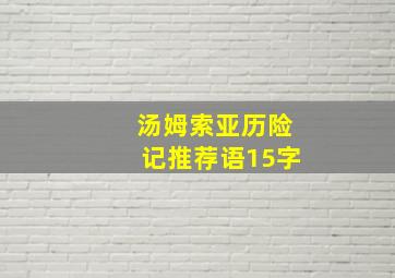 汤姆索亚历险记推荐语15字