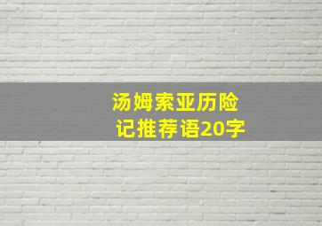 汤姆索亚历险记推荐语20字